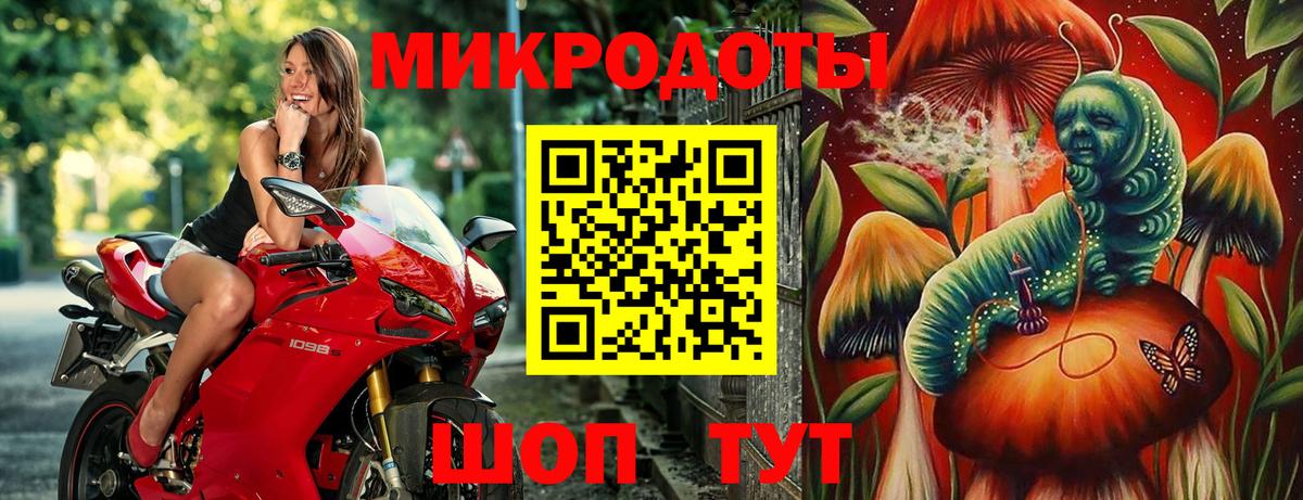 Галлюциногенные грибы Psilocybine cubensis  Псилоцибиновые грибы MAGIC MUSHROOMS  Вход с VPN  Владикавказ 